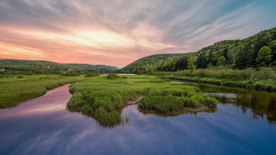 A river meandering through a lush green landscape with hills in the background.