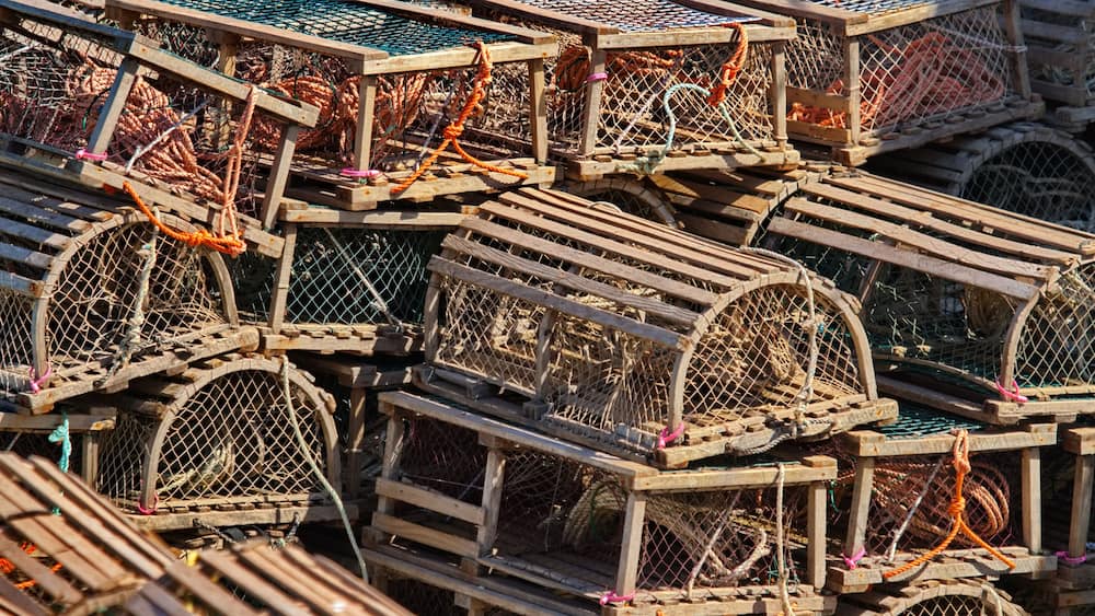 Une pile de casiers à homards.