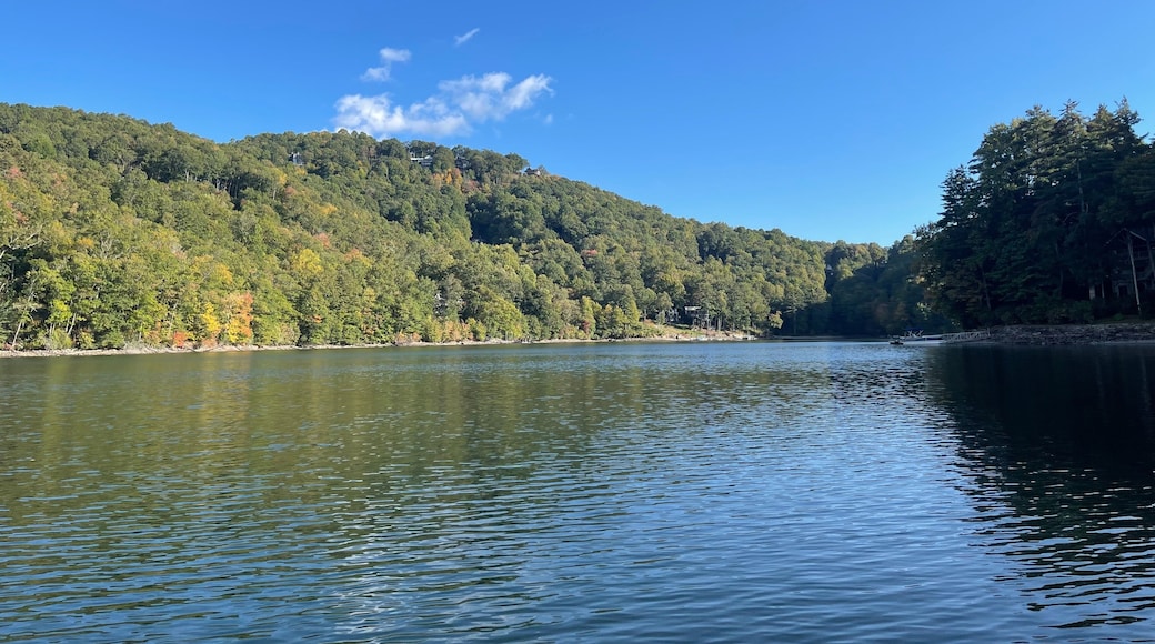 Lake Glenville, Cullowhee, North Carolina, USA - Beautiful view of Lake Glanville, Pine trees and fog near Cashiers, North Carolina