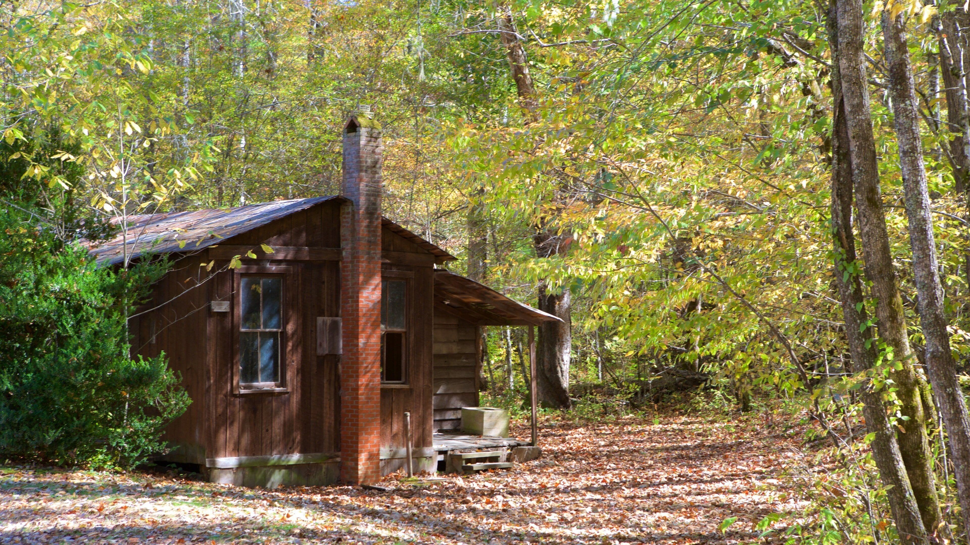 Charlotte inclusief een huis, bos en vredige uitzichten