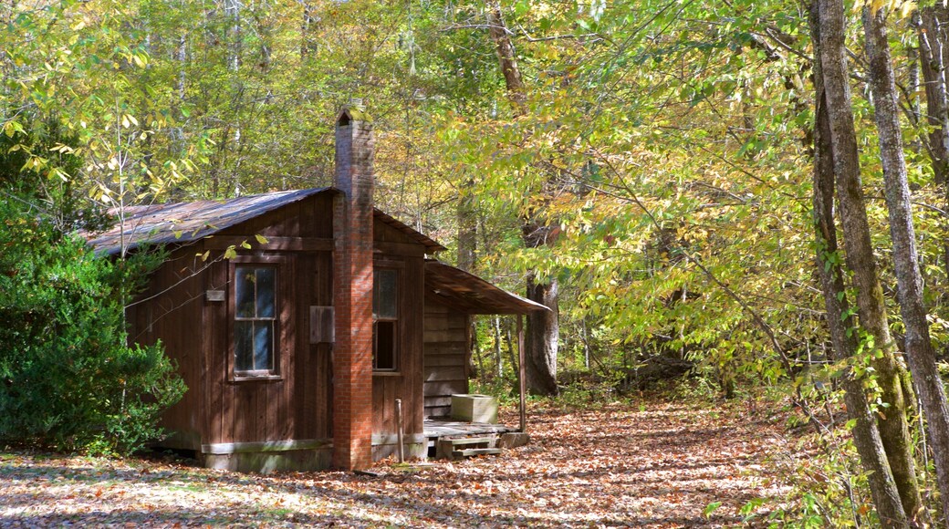 Charlotte inclusief een huis, bos en vredige uitzichten