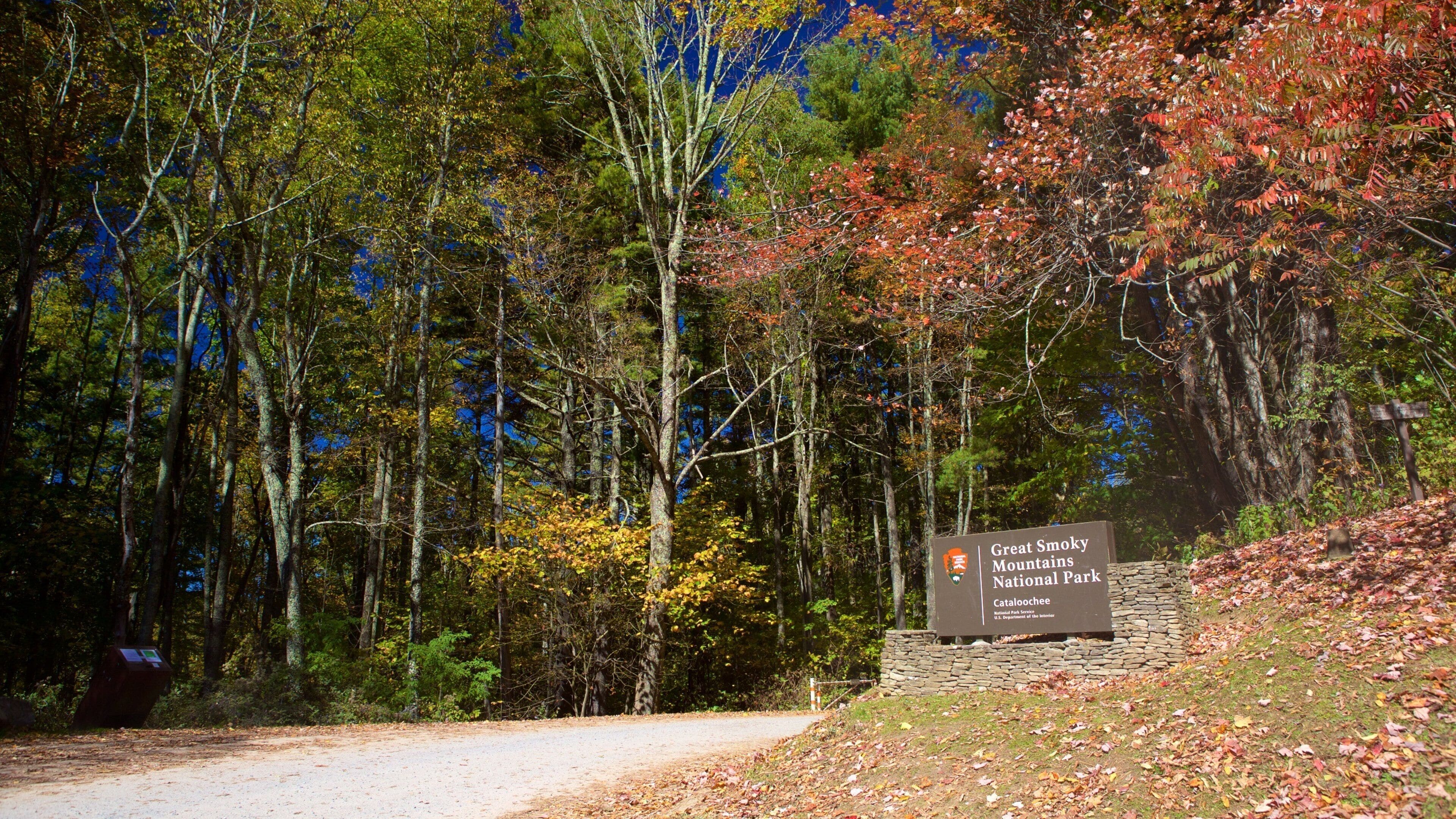 A dirt road leading to Great Smoky Mountains National Park.