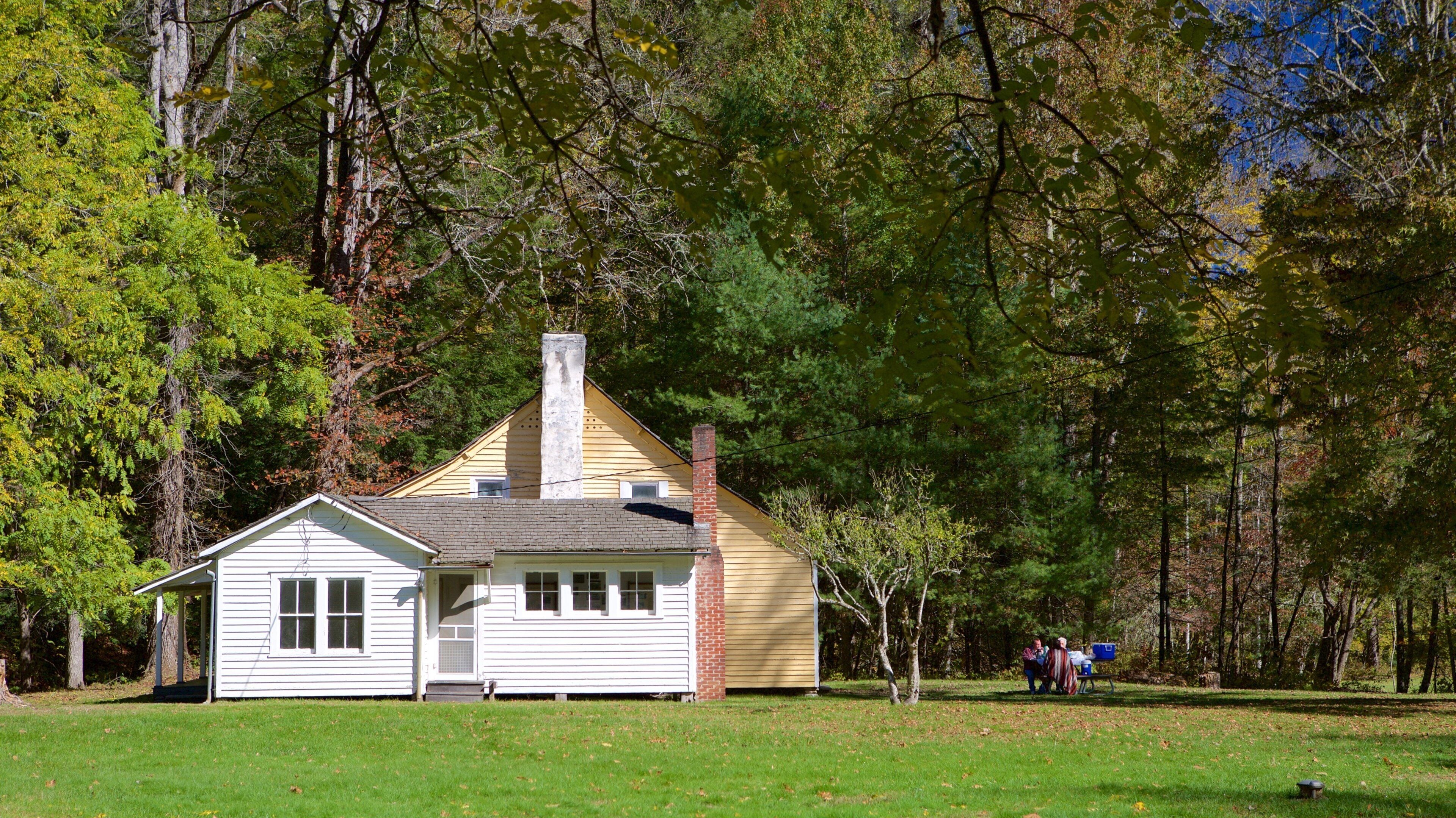 Cataloochee Valley showing a house and a garden