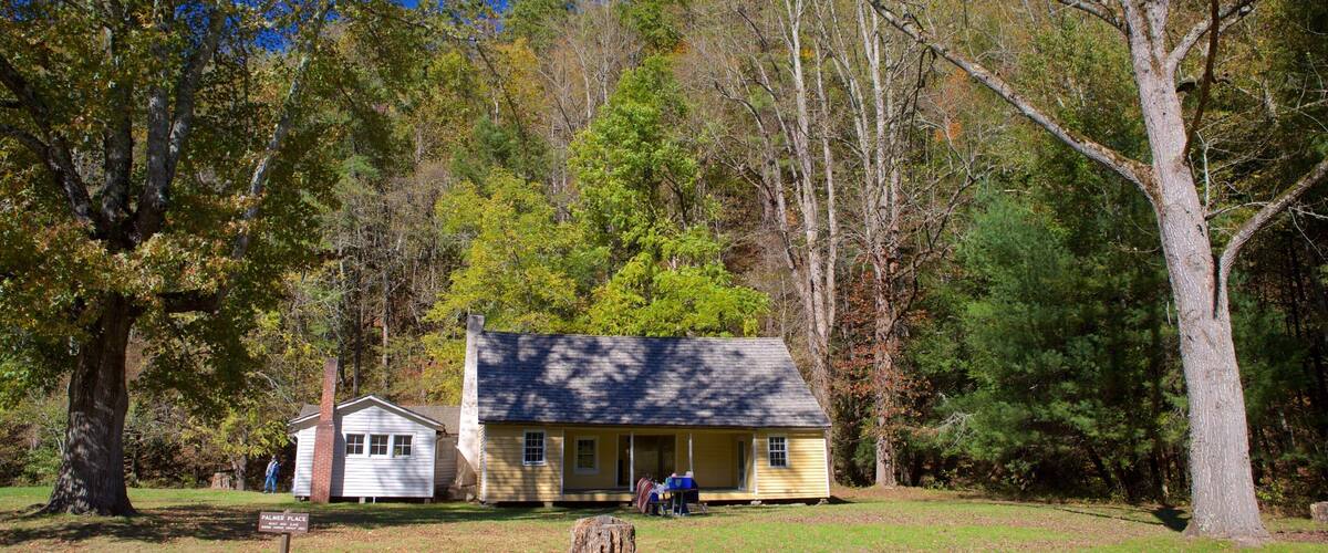 Charlotte featuring a house and forest scenes