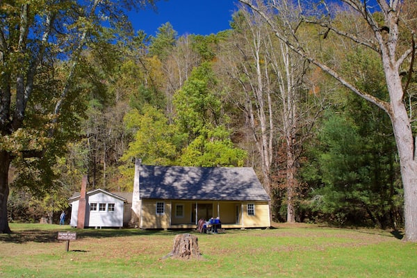 A small house surrounded by trees in a wooded area.