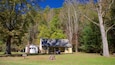 A small house surrounded by trees in a wooded area.