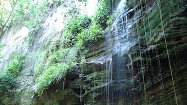 On the way to the waterfall "Pedra Caída". A special place in the middle of Brazil