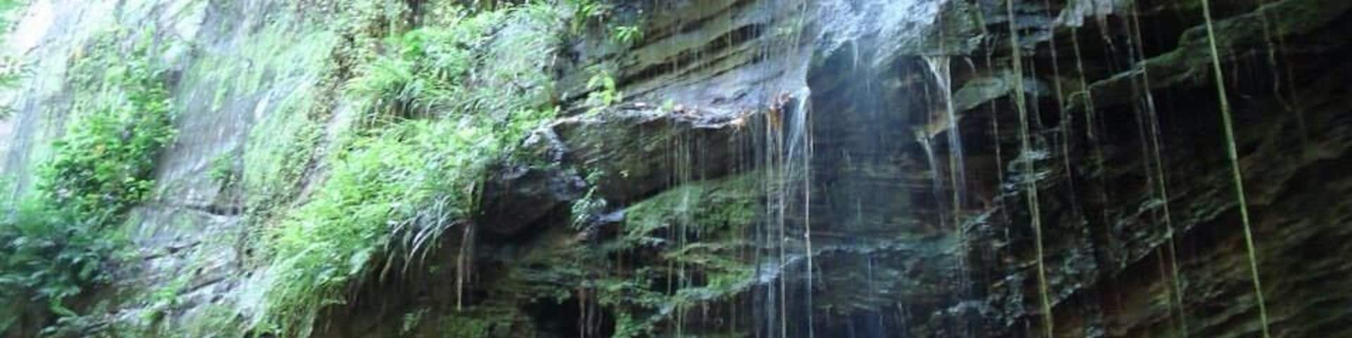 On the way to the waterfall "Pedra Caída". A special place in the middle of Brazil