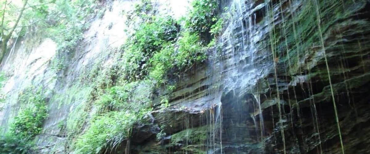 A waterfall cascading down a rocky cliff with lush greenery.