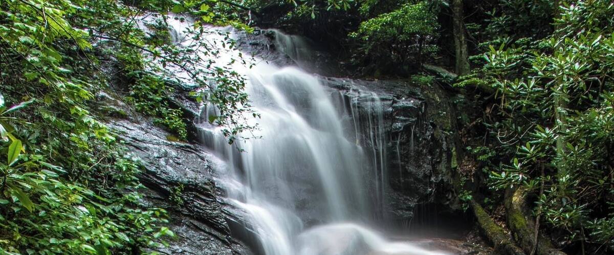 An easy to reach waterfall that is kid friendly. For a video guide of this hike, please visit: https://www.hdcarolina.com/episode/log-hollow-falls
#TakeAHike