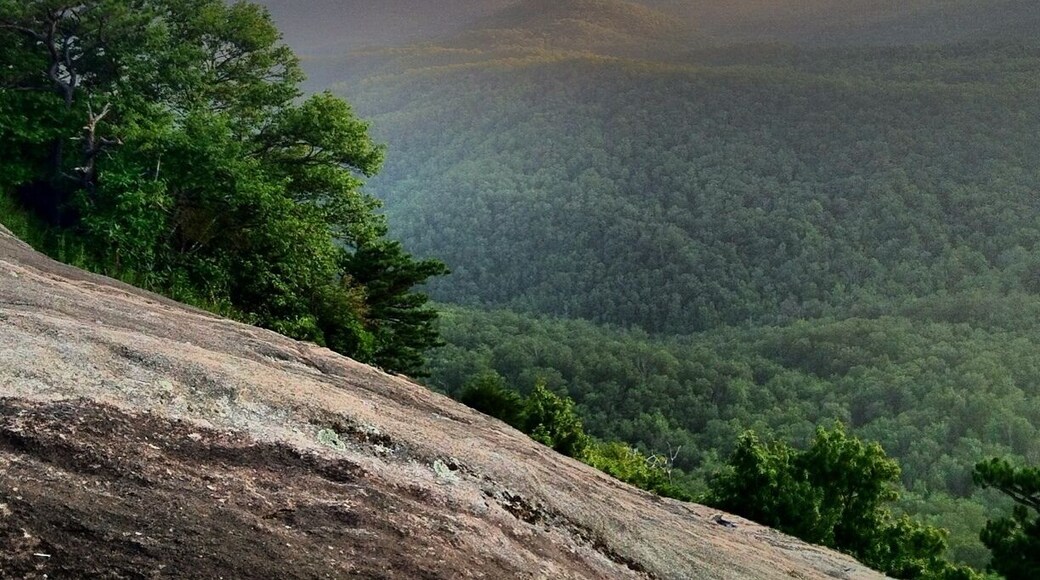 There is a trail that leads to the top of looking glass rock (the big rock-faced mountain as seen from the parkway). It's a moderate to difficult trail that's approximately 3 miles one way, 6 total. The end of the trail gives you 180 views. #localgem