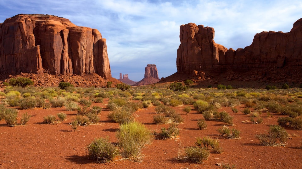 A desert landscape with red rock formations and sparse vegetation.