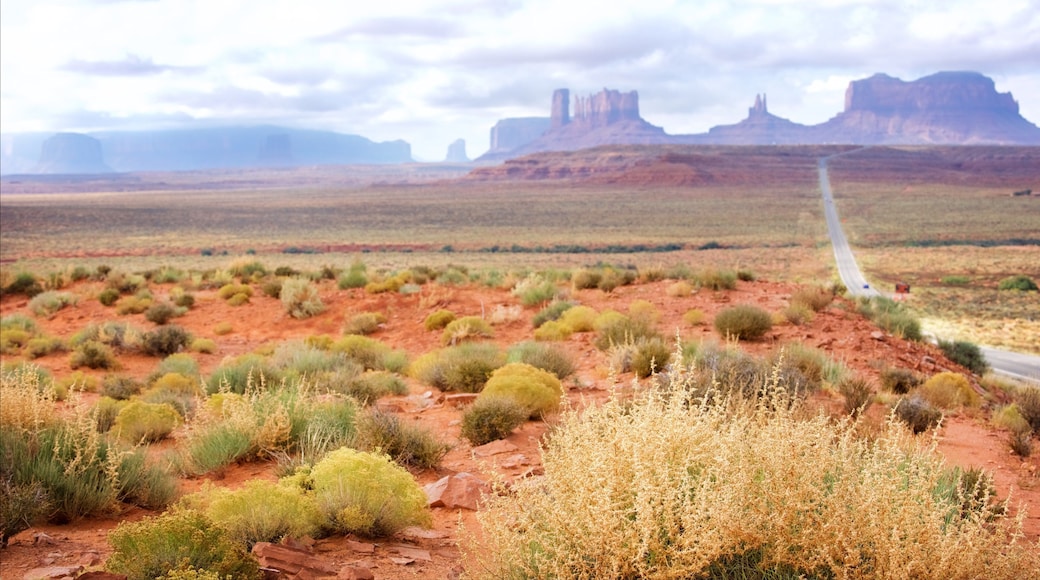 Utah fasiliteter samt kløft eller juv, rolig landskap og landskap