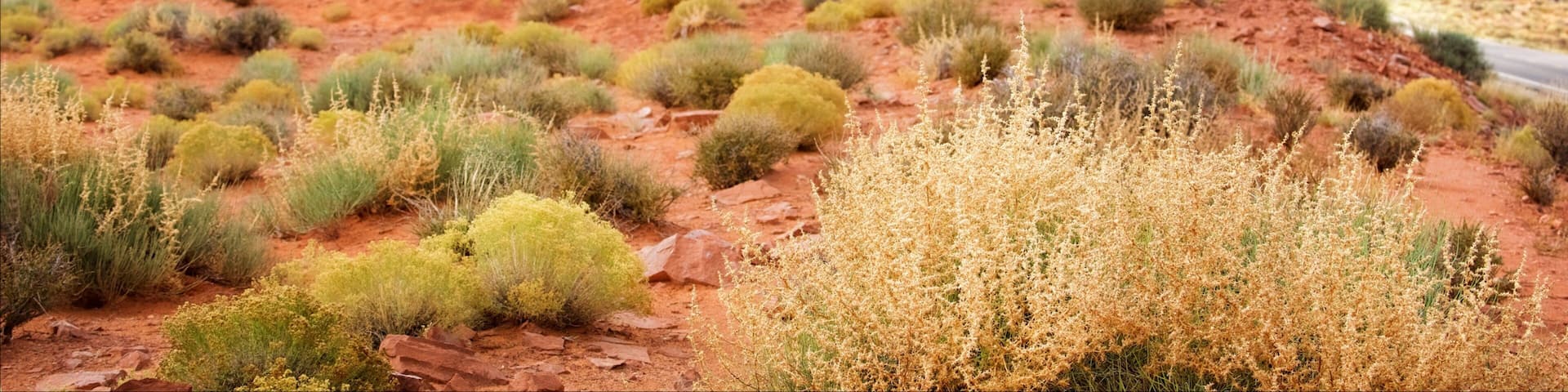 Monument Valley showing a gorge or canyon, a sunset and desert views
