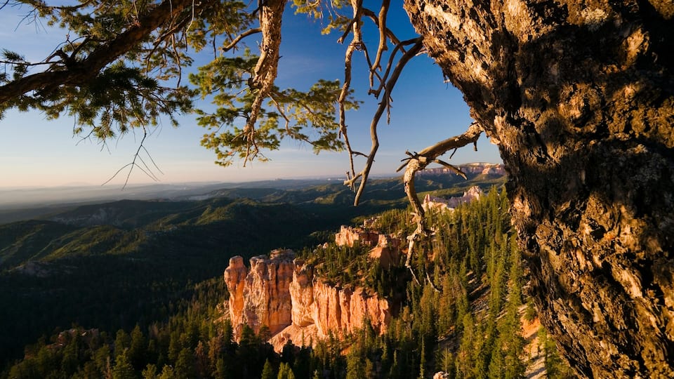 A mountainous landscape with a prominent rocky cliff and dense forest.
