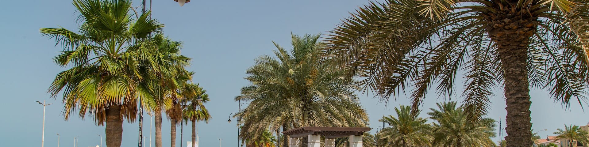 Budaiya which includes a garden