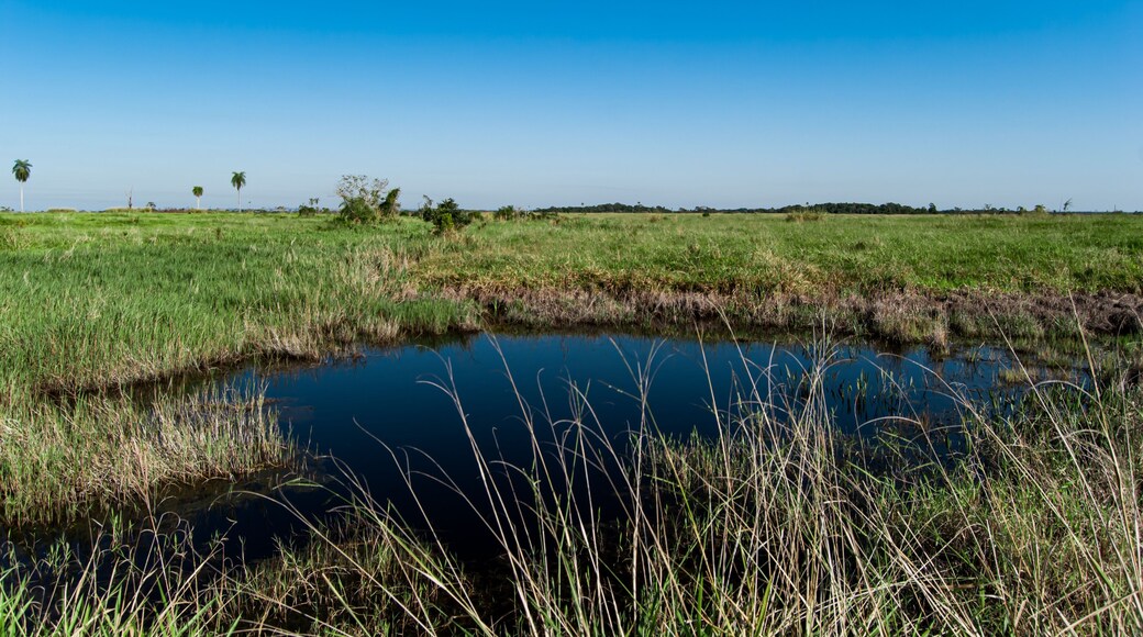 Landscape in the interior of Ivinhema River Floods State Park.