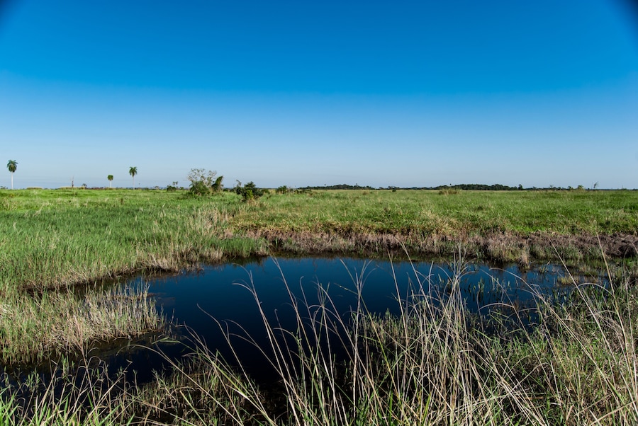 Landscape in the interior of Ivinhema River Floods State Park.