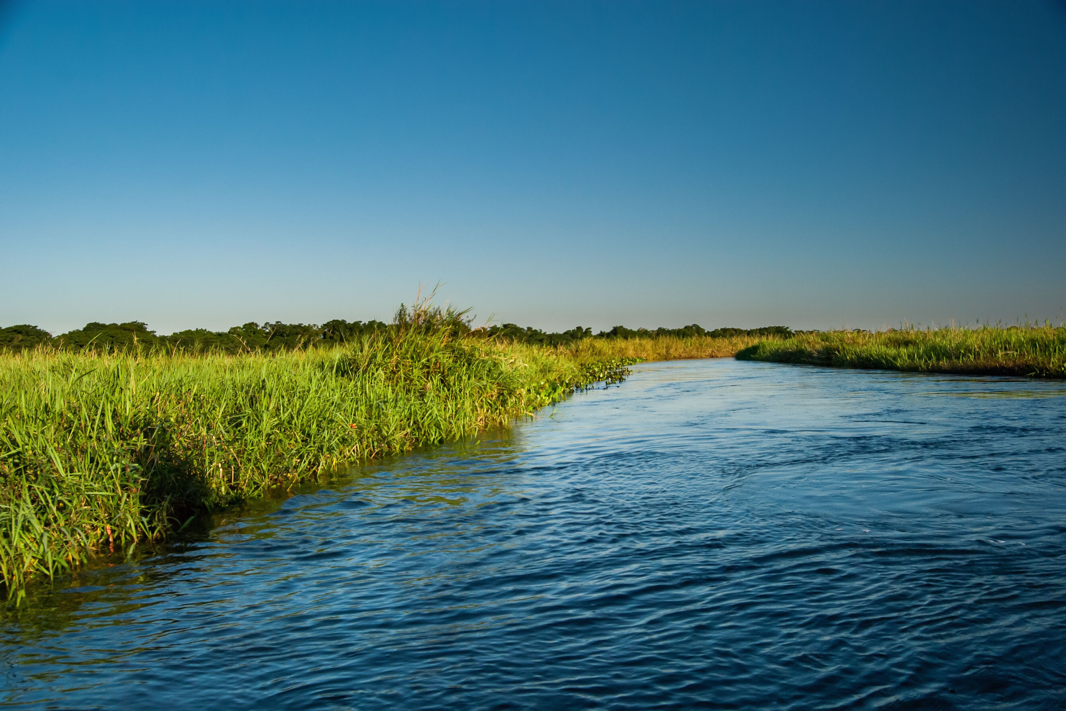 Curupai River in the Ivinhema River Floodplains State Park