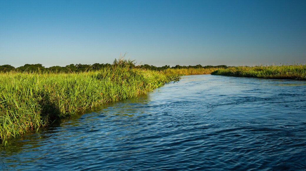 Curupai River in the Ivinhema River Floodplains State Park