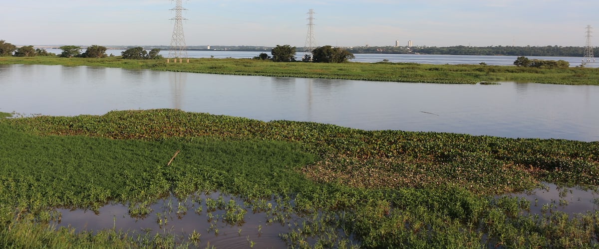 A calm water body with surrounding greenery and distant power lines.