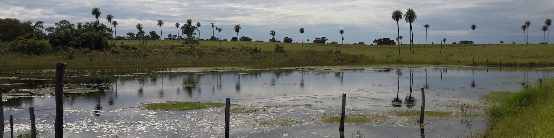Na gleba, em Quebra-Coco, Sidrolândia/MS