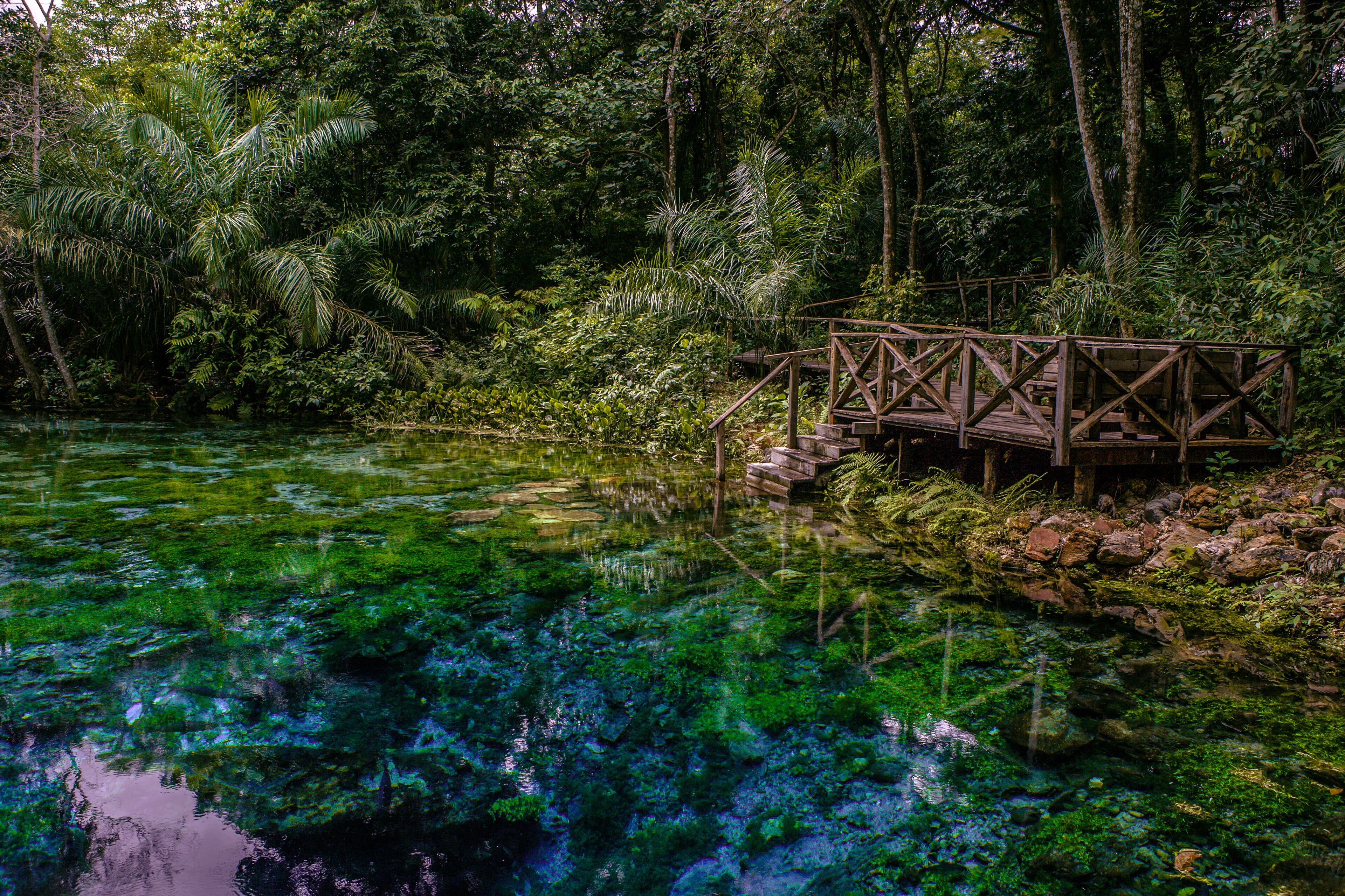 Flutuação na Nascente Azul no rio Sucuri em Bonito - MS