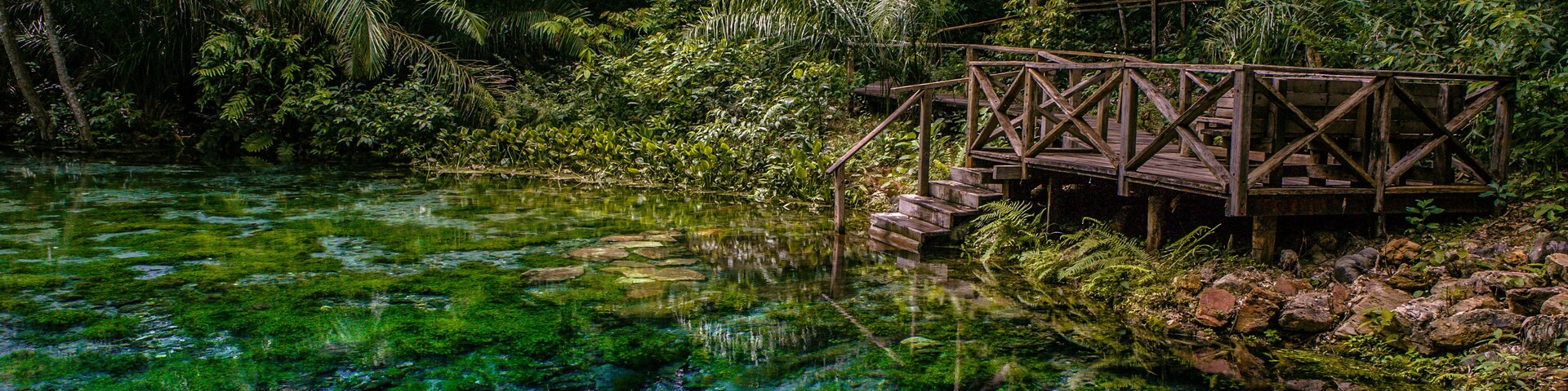 Uma ponte de madeira sobre um rio verde e límpido, cercada por vegetação tropical densa.