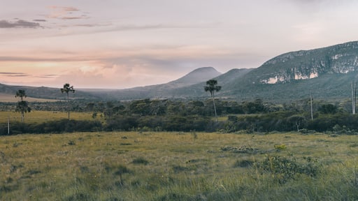 Dois Irmãos do Buriti