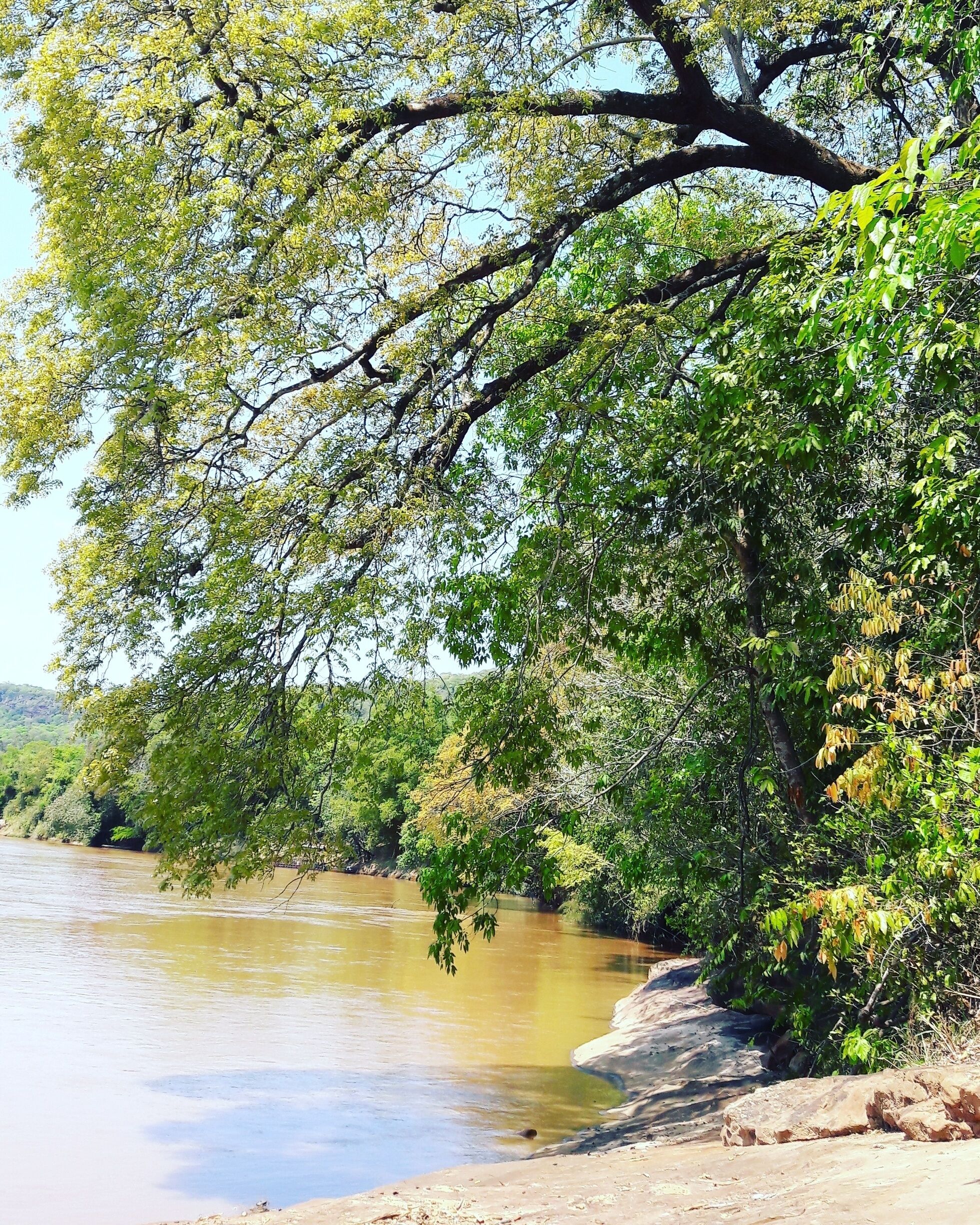 City: Palmeiras, District of Two Brothers of Buriti, Mato Grosso do Sul, Brasil