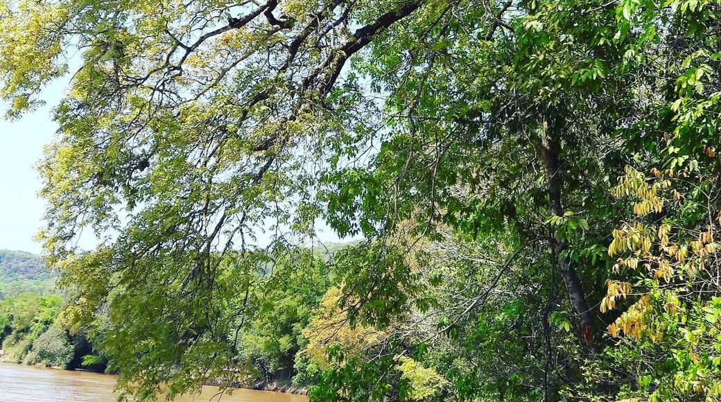 City: Palmeiras, District of Two Brothers of Buriti, Mato Grosso do Sul, Brasil
