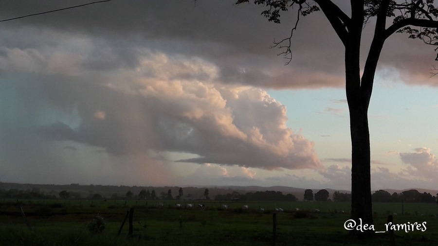 Entardecer