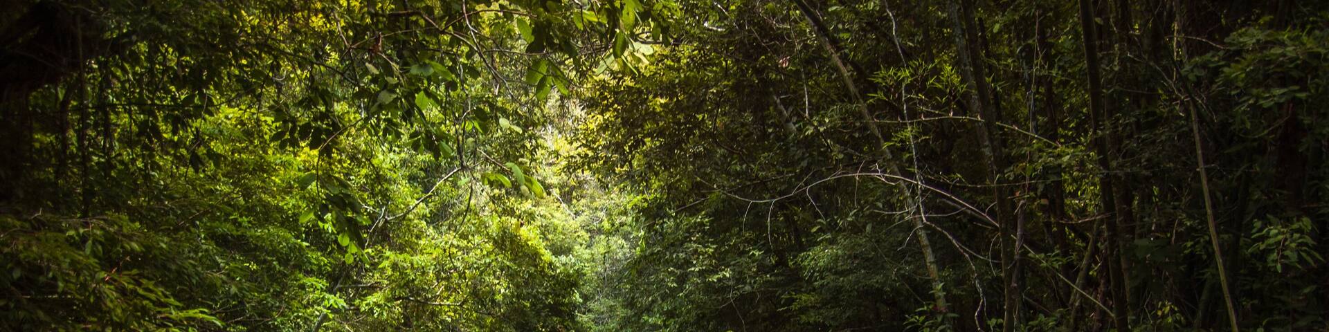 Bodoquena, Mato Grosso do Sul, Brazil