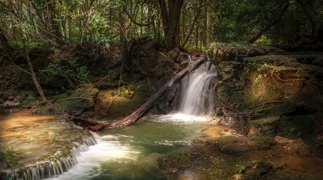 Waterfall, Bodoquena, Mato Grosso do Sul, Brazil