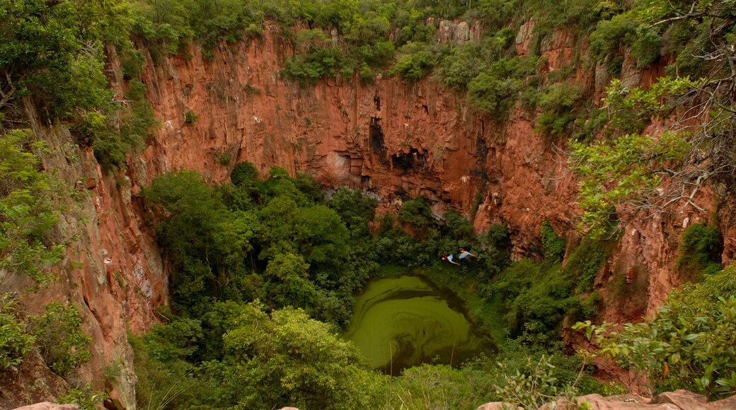 Sink hole now used by Macaws for nesting Serra da Bodoquena. Mato Grosso do Sur Province. Brazil. South America