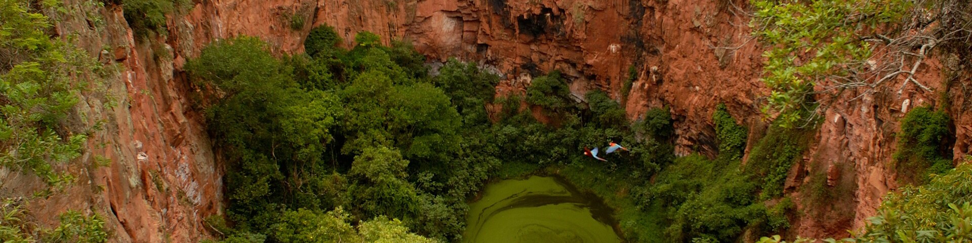 A deep canyon with a green pool at its base, surrounded by dense vegetation and rocky cliffs.