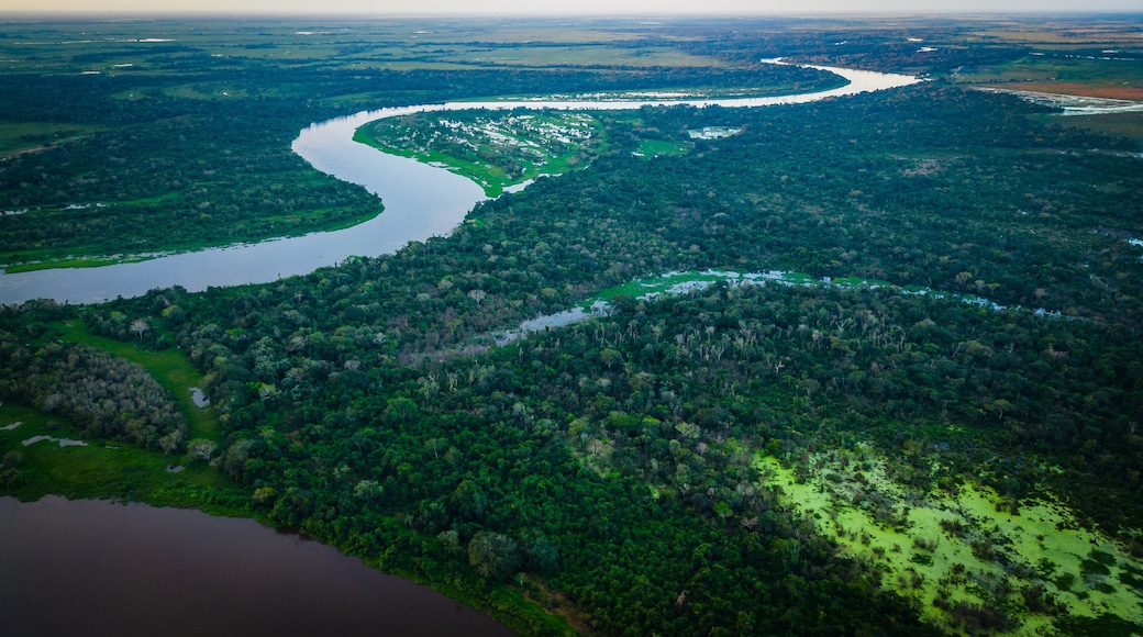 Aerial Drone Fly Above Pantanal Tropical Wetland Natural Region Flooded of Grasslands, Establishing Shot Brazilian Mato Grosso do Sul