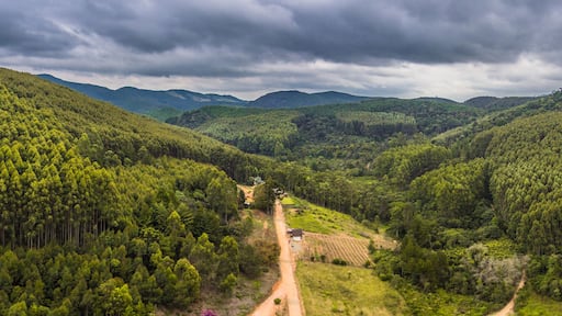 Drone aerial view panorama from forest landscape at Monte Verde, Minas Gerais, Brazil.