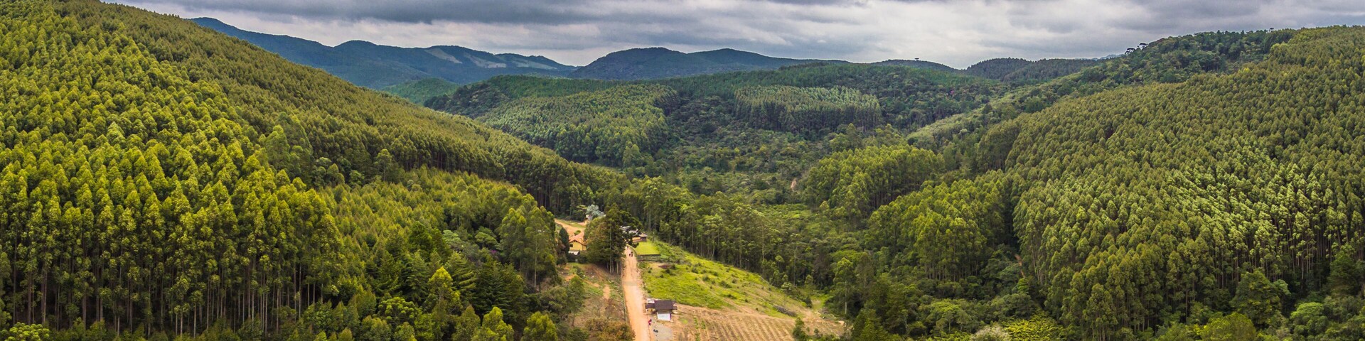 Drone aerial view panorama from forest landscape at Monte Verde, Minas Gerais, Brazil.
