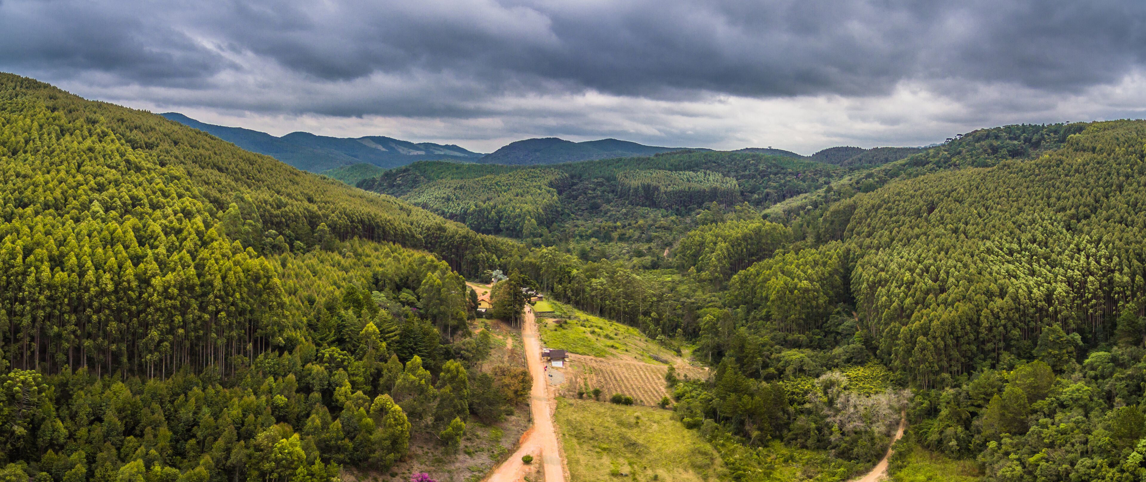 A valley with dense forest, a dirt road, and distant mountains under a cloudy sky.