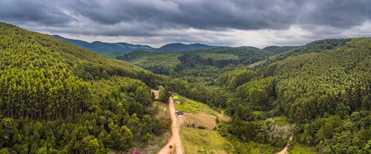 A valley with dense forest, a dirt road, and distant mountains under a cloudy sky.