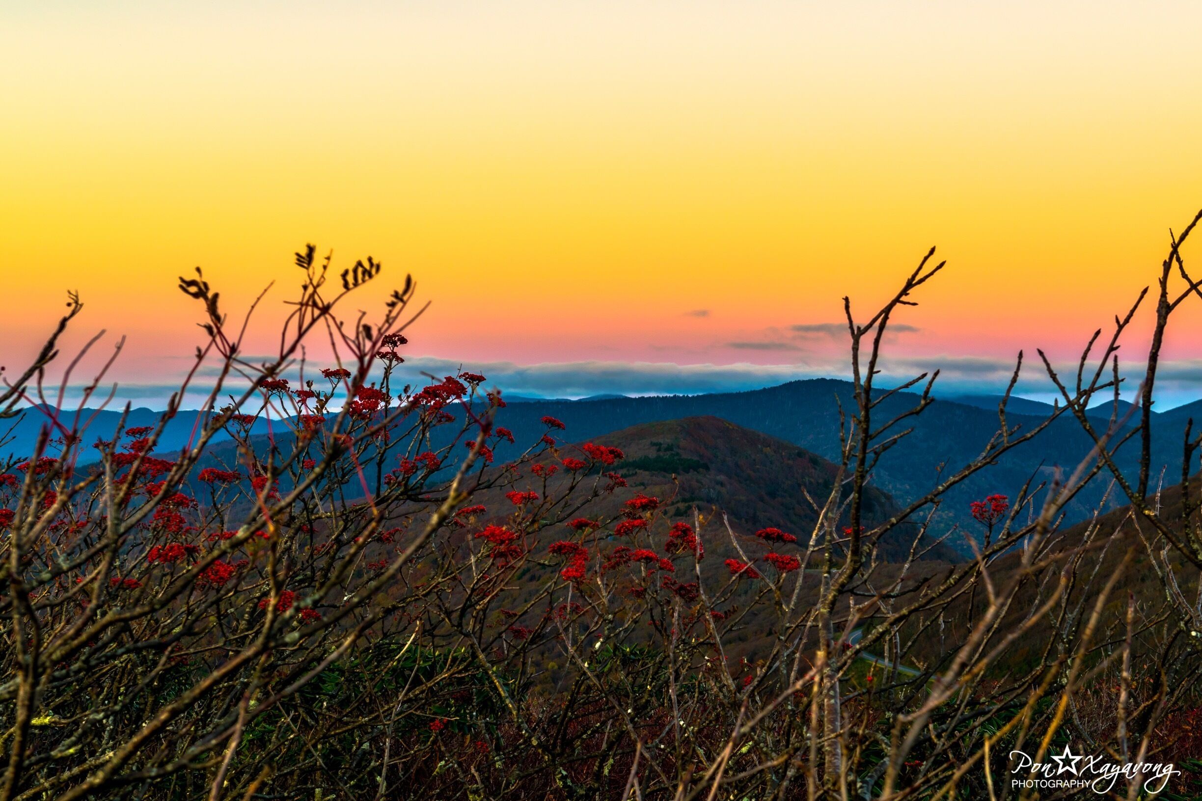 A sunset over a mountainous landscape with red flowers in the foreground.