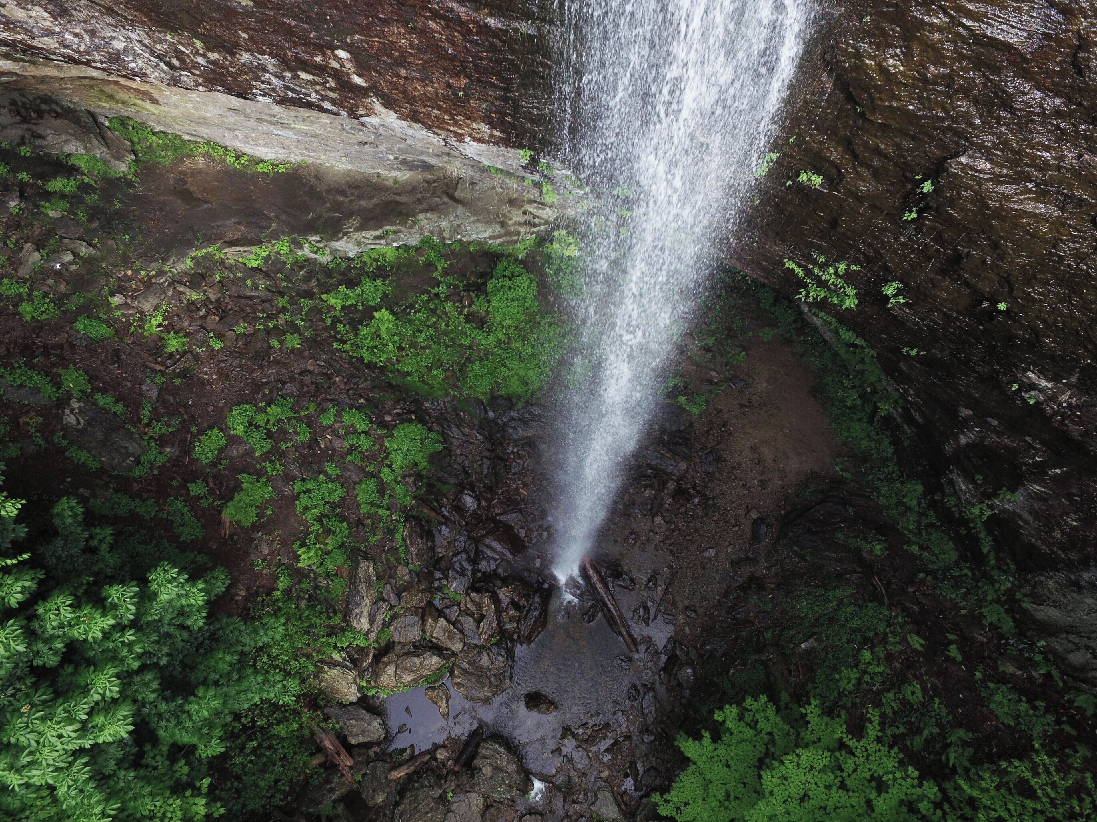 Douglas Falls is an epic waterfall that is very remote yet very easy to reach.  It is only a 1/2 mile hike to the falls but the drive to the trail head is several miles on unpaved forest service roads.  However, the drive is beautiful and you can see many small waterfalls and cascades that are roadside on the way to the trail.  Once you get to the waterfall you will enjoy one of the few waterfalls that allows you to walk behind it (or underneath) as it completely separates from the rock as it plummets 60ft.  For a full video guide of the hike to Douglas Falls, please visit:  https://www.hdcarolina.com/episode/douglas-falls