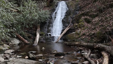 Una cascada que cae sobre rocas en un área boscosa.