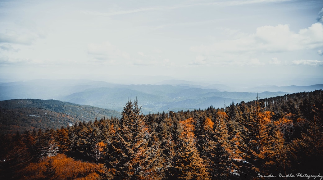 Shot from the summit if Mount Mitchell overlook. Fall on the Blue Ridge Parkway Old Fort, NC
#MyBackyard
#mountmitchell
#oldfort
#northcarolina
#blueridgeparkway
#blueridgemountains
#fall
#autumn