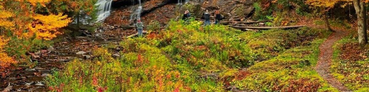 Waterfall in New Hampshire’s North Woods. #GreatOutdoors