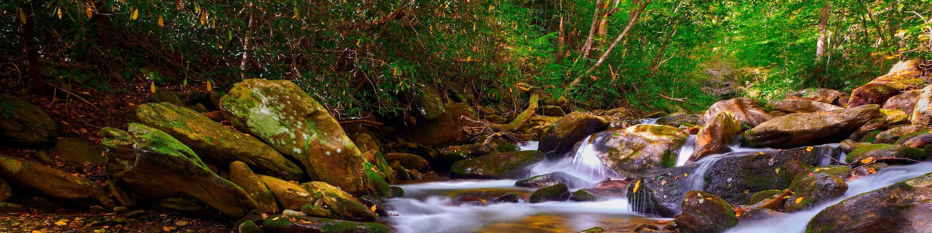 Curtis Creek near Curtis Creek Campground in the mountians of North Carolina.