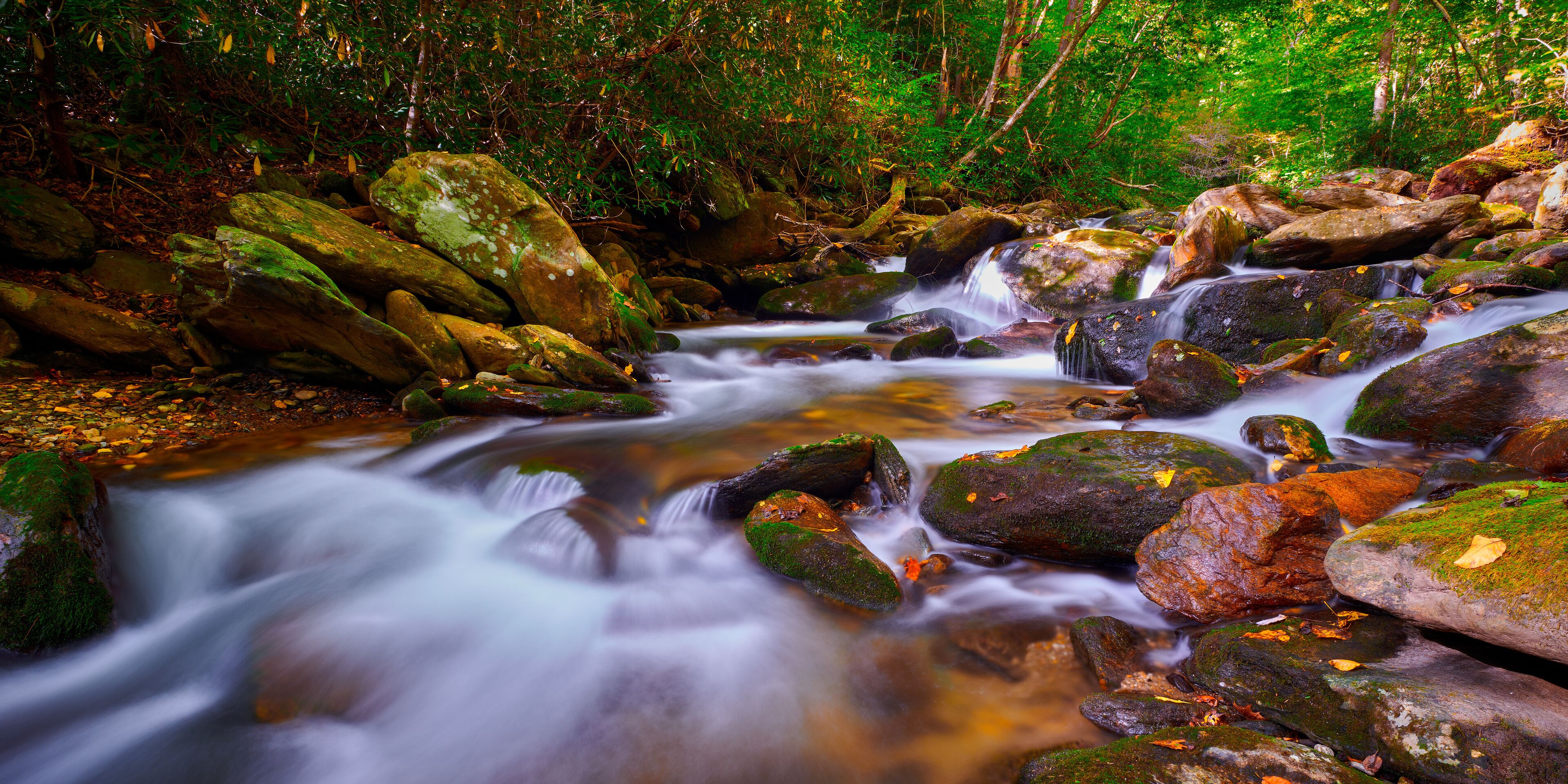 A flowing stream with rocks and trees.