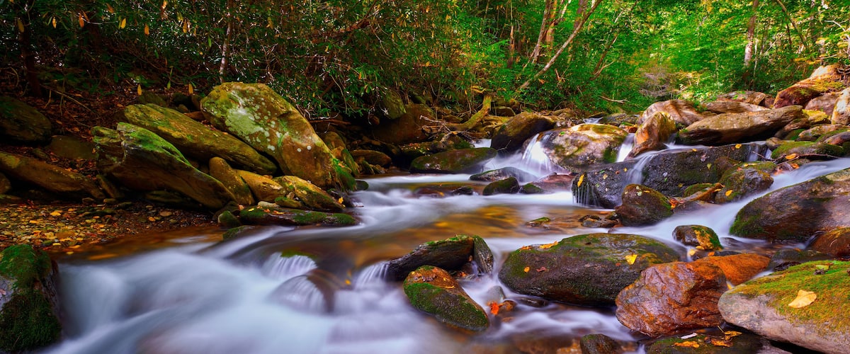 A flowing stream with rocks and trees.
