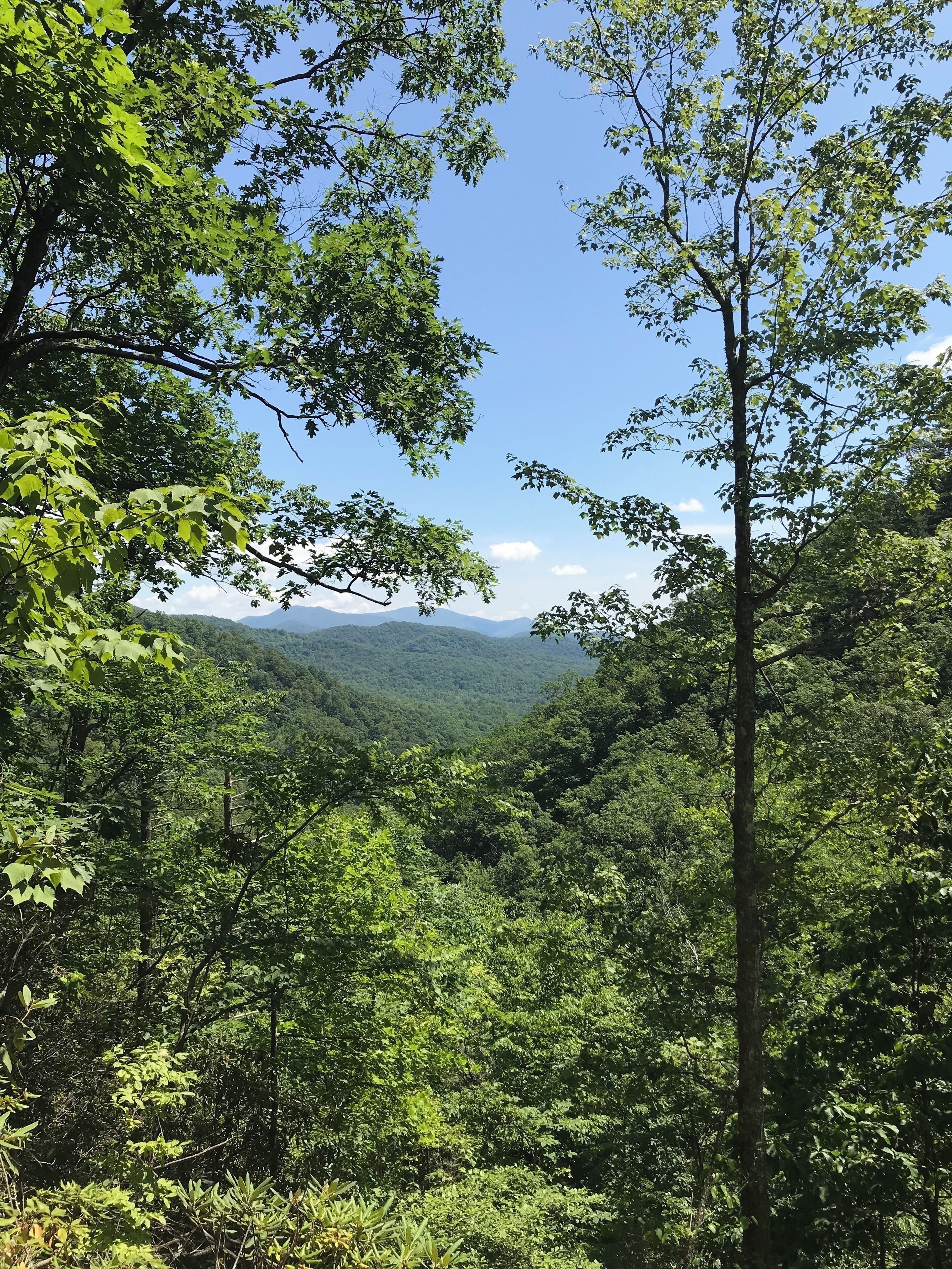 #aboveitall #lifeatexpedia Catawba Falls near Asheville, NC!
